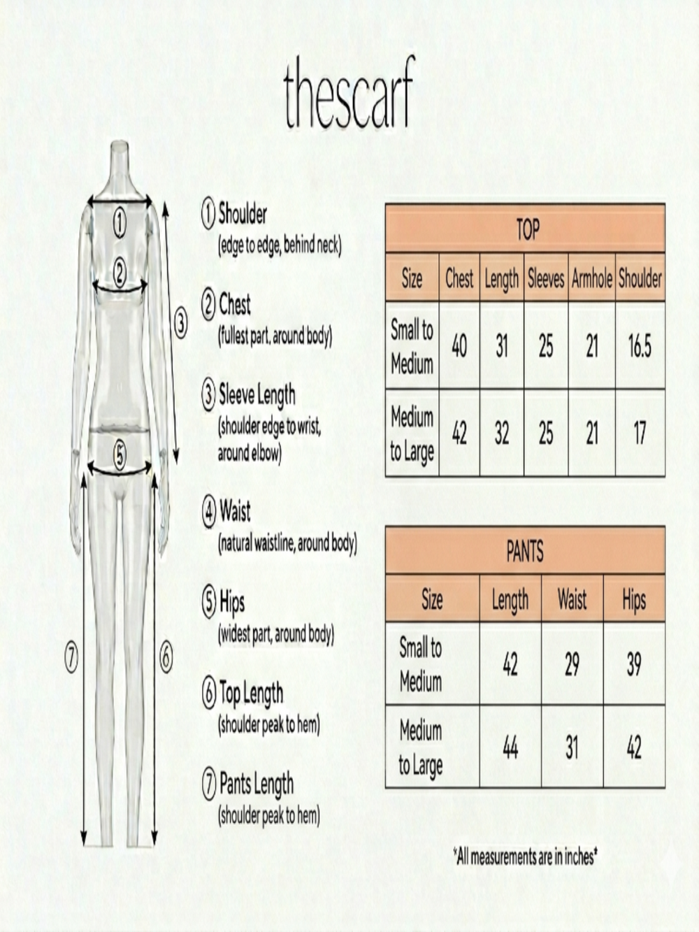Size chart for Athar Camellia